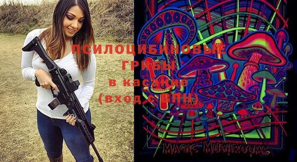 синтетический гашиш Корсаков